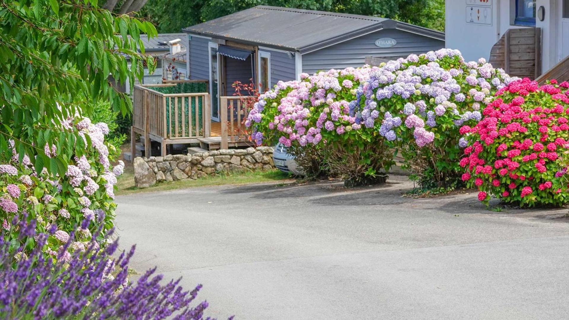 Camping Le Dolmen, Carnac, Morbihan Εξωτερικό φωτογραφία