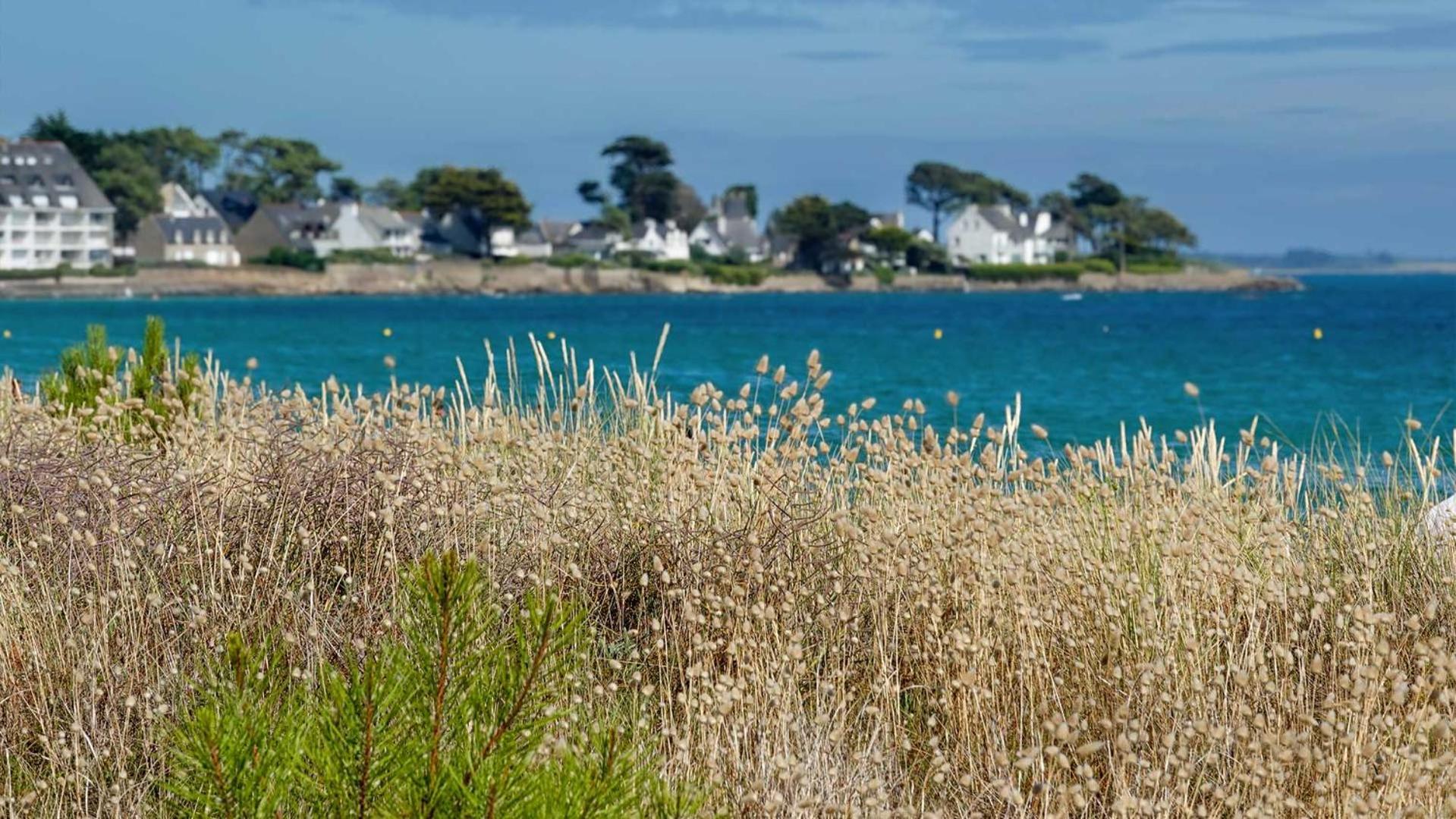 Camping Le Dolmen, Carnac, Morbihan Εξωτερικό φωτογραφία